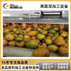 CXP-GZ芒果 果蔬汁加工设备 NFC纯果汁成套生产线