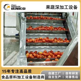 CXP-SCX番茄酱生产线 果蔬浓缩汁成套生产设备
