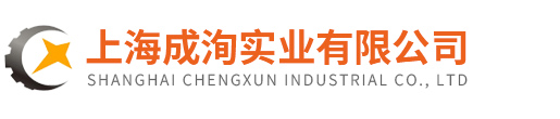 上海成洵实业有限公司